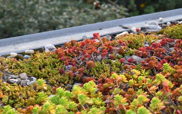 the cost of Killaloo green roof installation