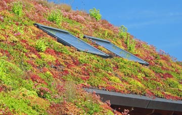 Killaloo living roof systems