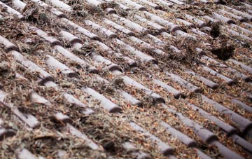 Killaloo roof cleaning companies