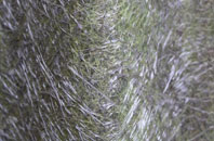 Killaloo fibreglass roof work